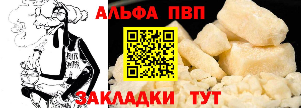 Альфа ПВП СК КРИС Гусиноозёрск